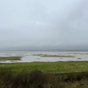 View from Estuary Tower
