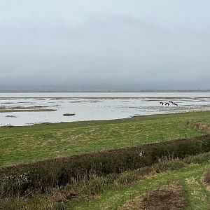 View from Estuary Tower