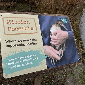 Mission Possible Signage