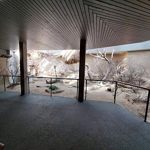 Etoscha-haus - Main enclosure