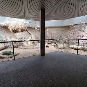 Etoscha-haus - Main enclosure