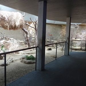 Etoscha-haus - Main enclosure