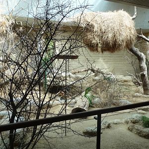 Etoscha-haus - Sociable weaver nest