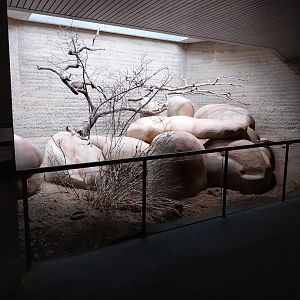 Etoscha-haus - Meerkat enclosure