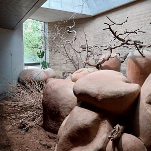 Etoscha-haus - Meerkat enclosure