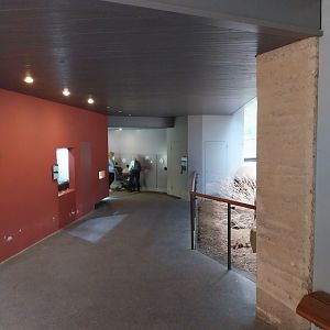 Etoscha-haus - Visitor area