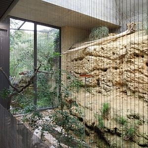 Etoscha-haus - Northern carmine bee-eater exhibit (Merops nubicus)