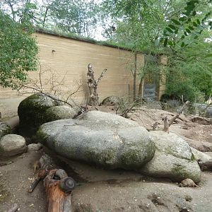 Etoscha-haus - Meerkat enclosure
