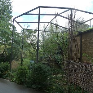 Etoscha-haus - Northern carmine bee-eater aviary (Merops nubicus)