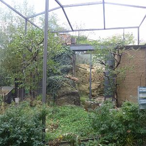 Etoscha-haus - Northern carmine bee-eater aviary (Merops nubicus)