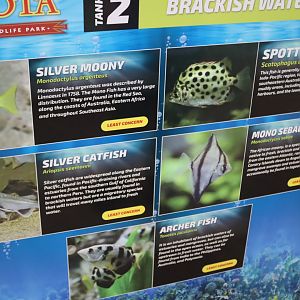 Brackish Water Tank, Signage Example