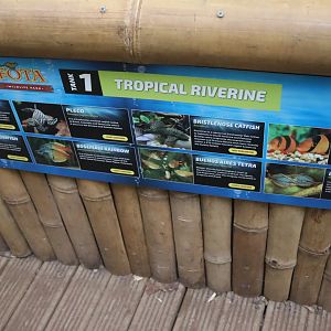 Tropical Riverine Tank, Signage Example