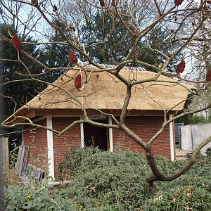 New waffle house, built in same style as nearby old deer houses, 2024-03-09