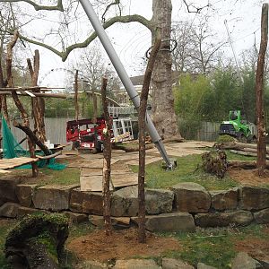 Construction of new climbing structures in gorilla exhibit, 2024-03-09