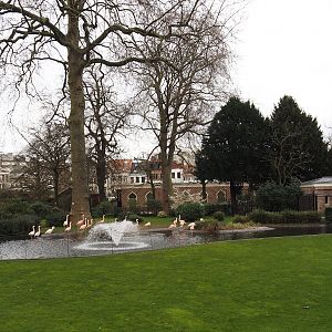 Flamingo exhibit, now with Chilean flamingos, 2024-03-09