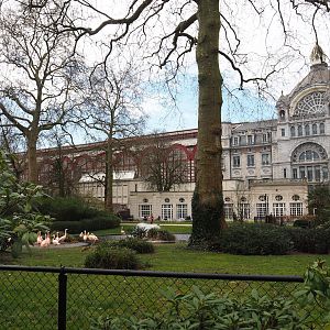 Flamingo exhibit, now with Chilean flamingos, 2024-03-09