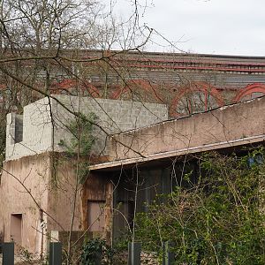 Construction on the roof of the hippopotamus house, 2024-03-09