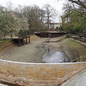 Former seal pool, intended to be used for pelicans again, undergoing renovation, 2024-03-09