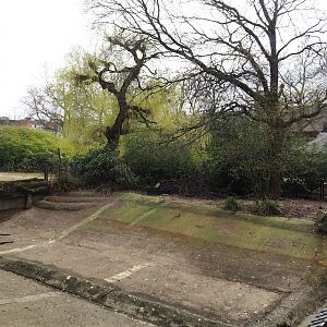 Former seal pool, intended to be used for pelicans again, undergoing renovation, 2024-03-09