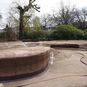 HIppopotamus pool empty for maintenance, 2024-03-09
