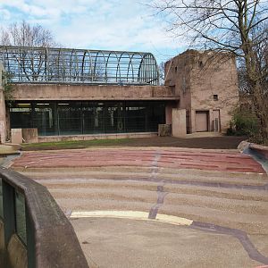 HIppopotamus pool empty for maintenance, 2024-03-09