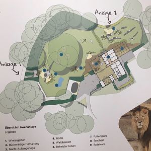 Zoo Schwerin- lion enclosure layout- 2021