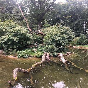 Zoo Schwerin- otter and red panda enclosure- 2021