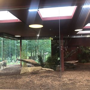 Zoo Schwerin- indoor lion enclosure- 2021