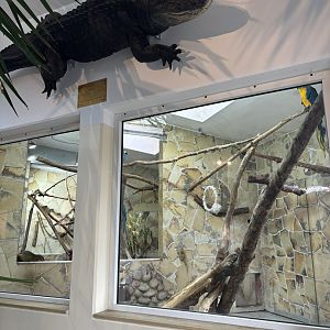 Indoor South American Enclosure and taxidermy of Maxl the Alligator