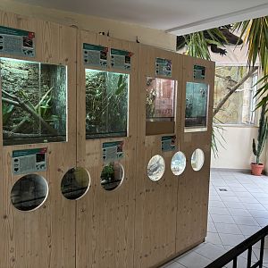 Insect Area of the Maxlhaus of Zoo Wassertstern (Ingolstadt)