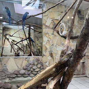 Indoor South American Enclosure