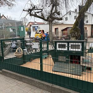 Biergarten of Zoo Wassertstern (Ingolstadt)