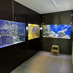 Inside the Aquarium at Zoo Wassertstern (Ingolstadt)