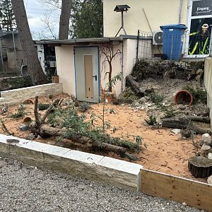 Greek Tortoise Enclosure at Zoo Wassertstern (Ingolstadt)