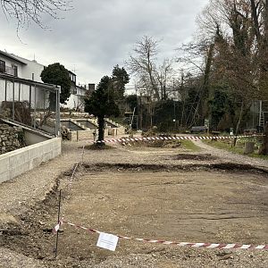 Area Across Greek Tortoise Enclosure Zoo Wassertstern (Ingolstadt)