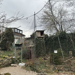 Owl Enclosures at Zoo Wassertstern (Ingolstadt)