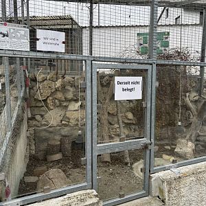 Black and White Tegu enclosure at Zoo Wassertstern (Ingolstadt)