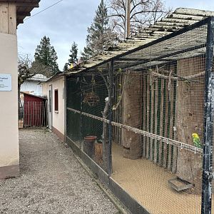 Budgerigar and Cockatiel enclosure at Zoo Wassertstern (Ingolstadt)