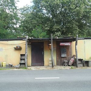 Building with theming at the entrance of the car safari, 2023-08-15