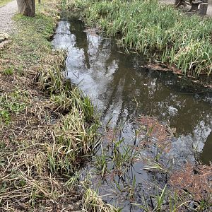 Biotope/Body of Water at Zoo Wassertstern (Ingolstadt)