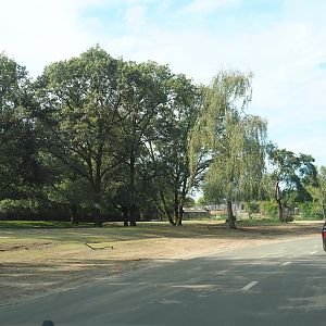 Multi-hectare savanna drive through-exhibit, 2023-08-15