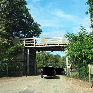 Walking safari bridge over car safari road and connection between sections of multi-hectare savanna, 2023-08-15