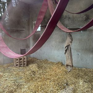 One of the Indoor Macaque Enclosures at Zoo Wassertstern (Ingolstadt)