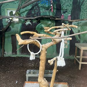 Parrot Enclosure at Zoo Wassertstern (Ingolstadt)