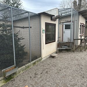 Striped Squirrel and Cotton-Top Tamarin Enclosures at Zoo Wassertstern (Ingolstadt)