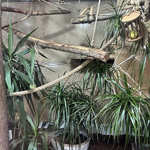 Indoor Tamarin Enclosure at Zoo Wassertstern (Ingolstadt)