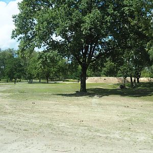 Multi-hectare savanna drive through-exhibit, 2023-08-15