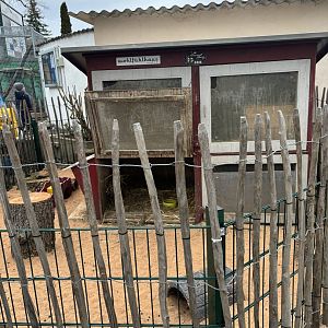 Rabbit Hutch at Zoo Wassertstern (Ingolstadt)