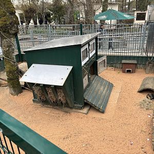 Guinea Pig Enclosure at Zoo Wassertstern (Ingolstadt)