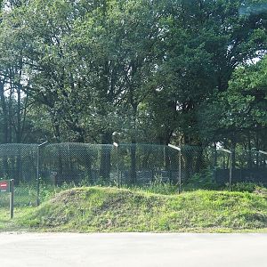 Off-show cheetah paddock, 2023-08-15